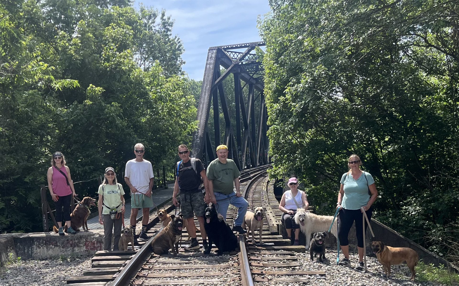 Black Wolf group training class with owners and their dogs on a railroad trestle trail