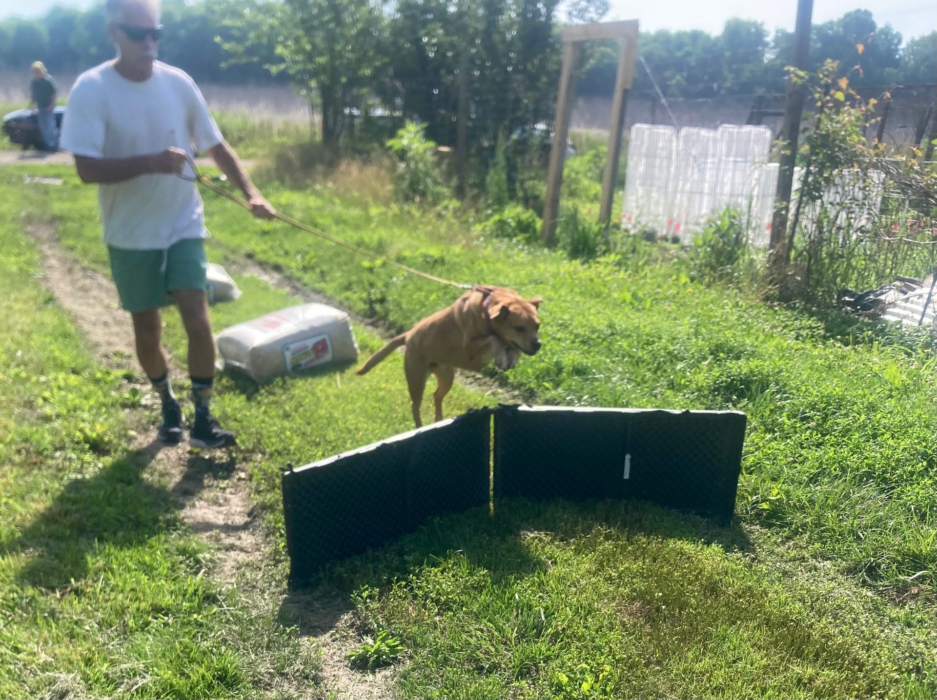 Owners and dogs taking on an outdoor obstacle course together