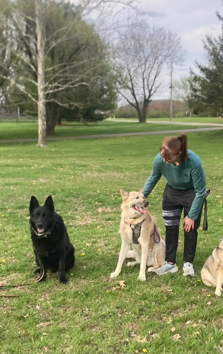 Eric working one-on-one with a dog during a private training session
